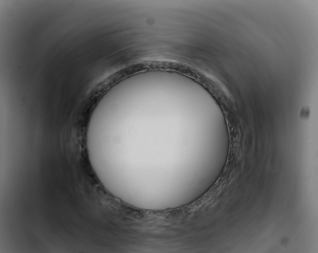 X0000103450870200809121123