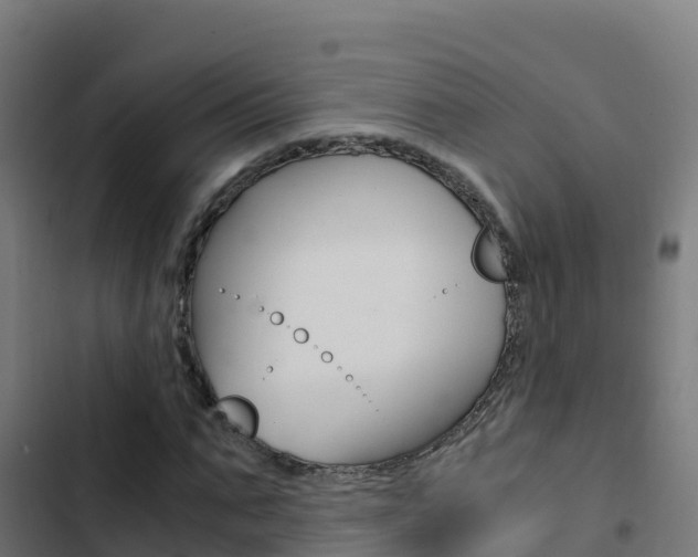 X0000103450871200809121123