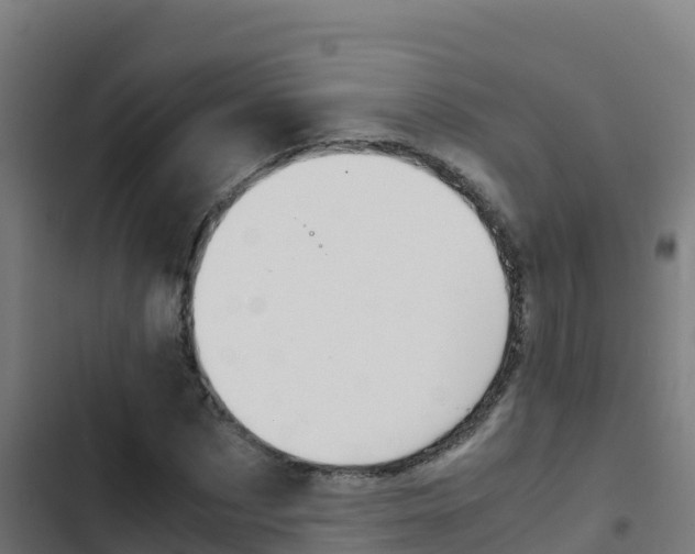 X0000103450873200809121123