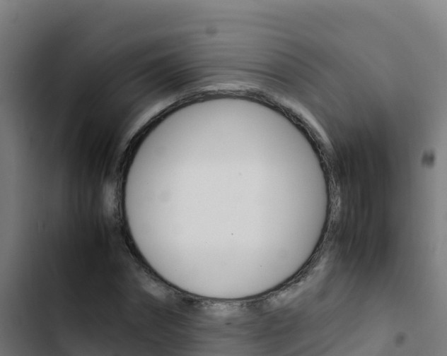 X0000103450874200809121123