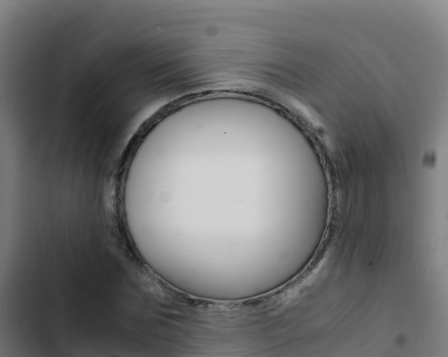 X0000103450875200809121123