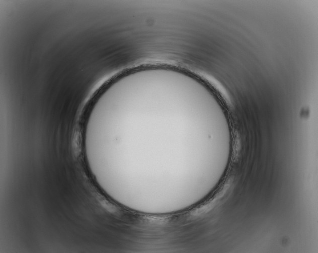 X0000103450878200809121123