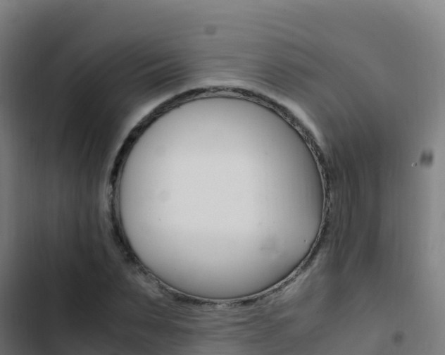 X0000103450879200809121123