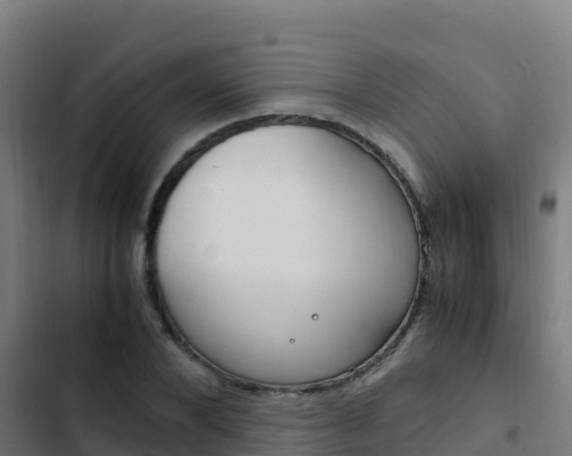 X0000103450880200809121123