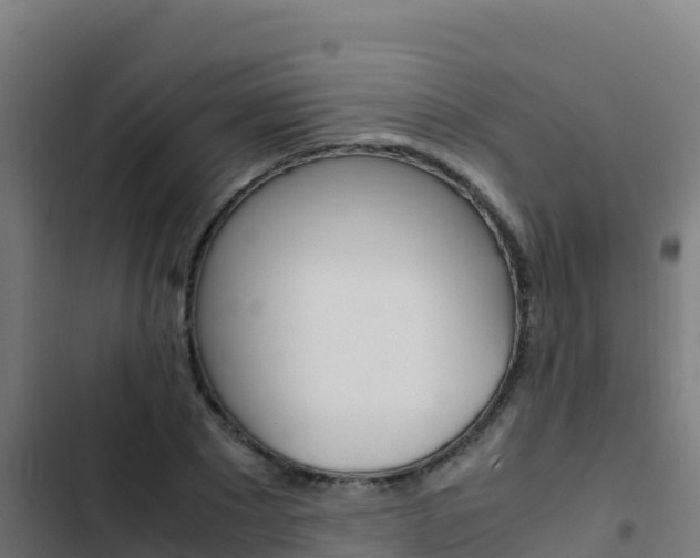 X0000103450881200809121123