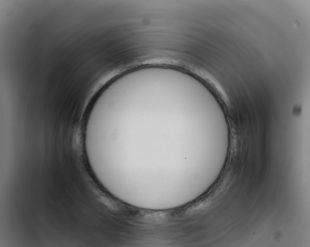 X0000103450882200809121123