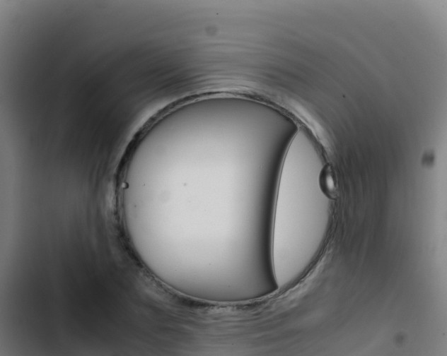 X0000103450883200809121123