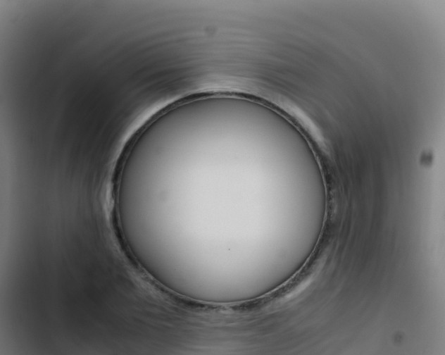 X0000103450885200809121123