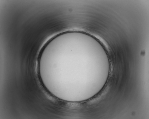 X0000103450886200809121123