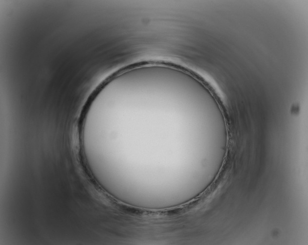 X0000103450887200809121123