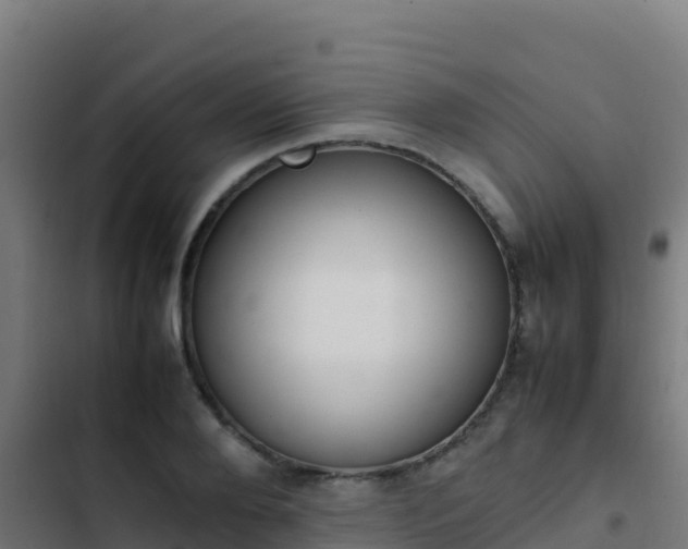 X0000103450888200809121123