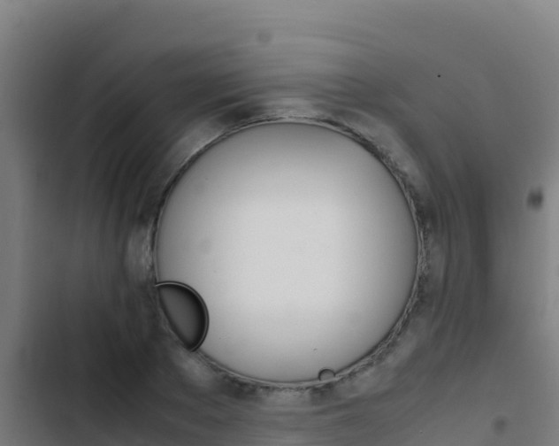 X0000103450889200809121123