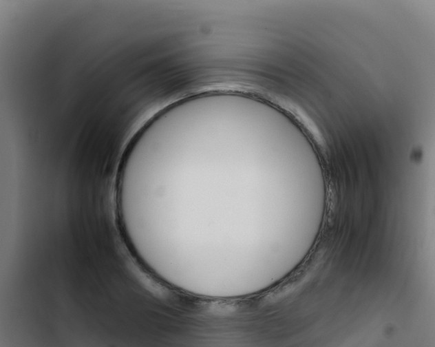 X0000103450890200809121123