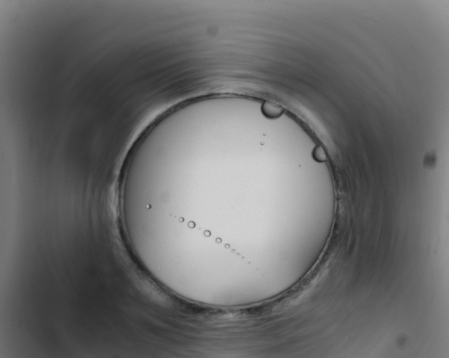 X0000103450891200809121123
