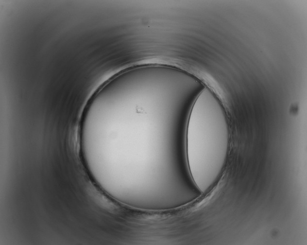 X0000103450892200809121123