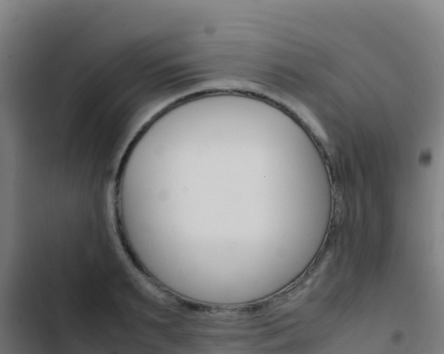 X0000103450895200809121123