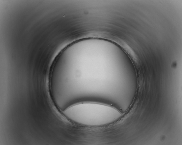 X0000103450896200809121123
