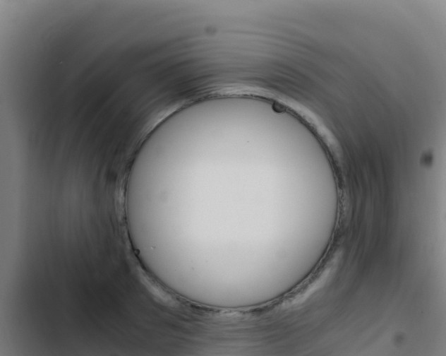 X0000103450897200809121123