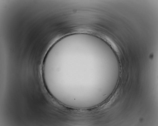 X0000103450899200809121122