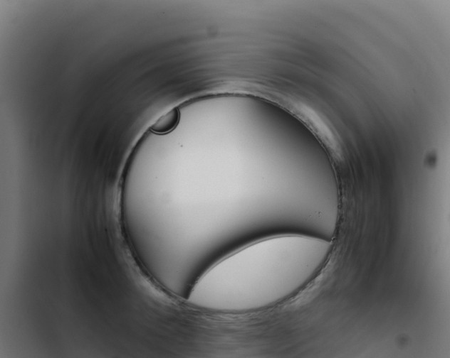 X0000103450900200809121122