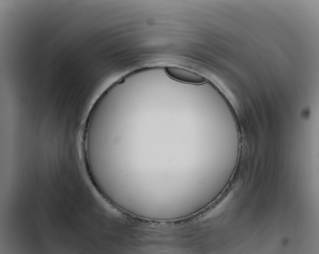 X0000103450901200809121122