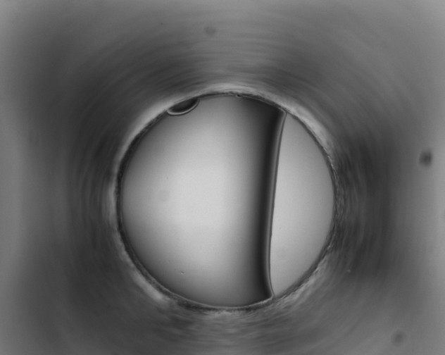 X0000103450902200809121122