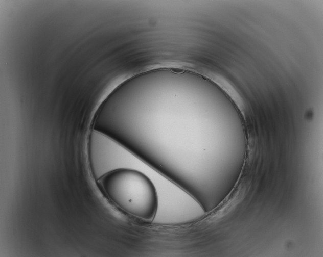X0000103450906200809121122
