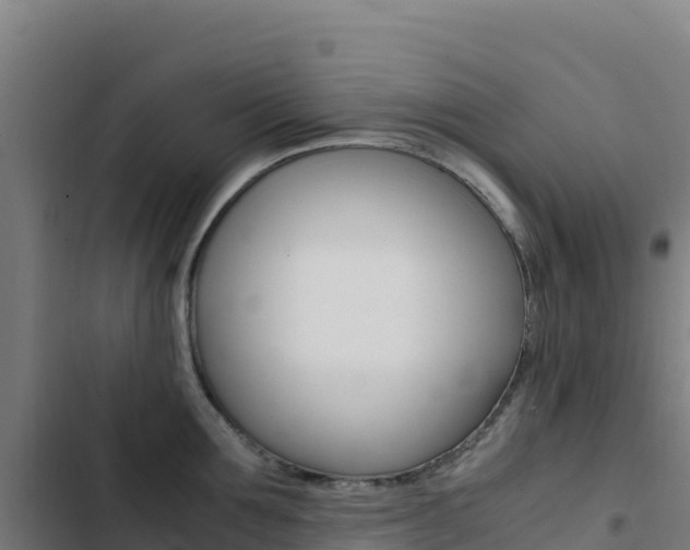 X0000103450907200809121122