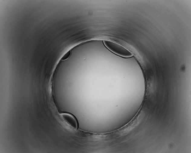 X0000103450908200809121122