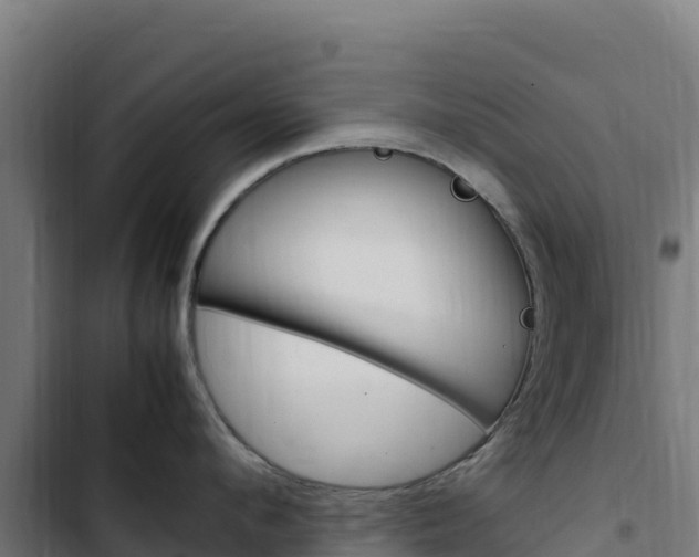 X0000103450912200809121122
