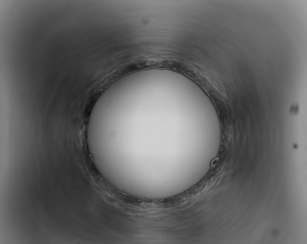 X0000103450914200809121122