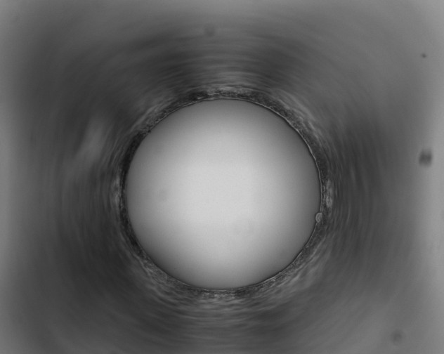 X0000103450915200809121122