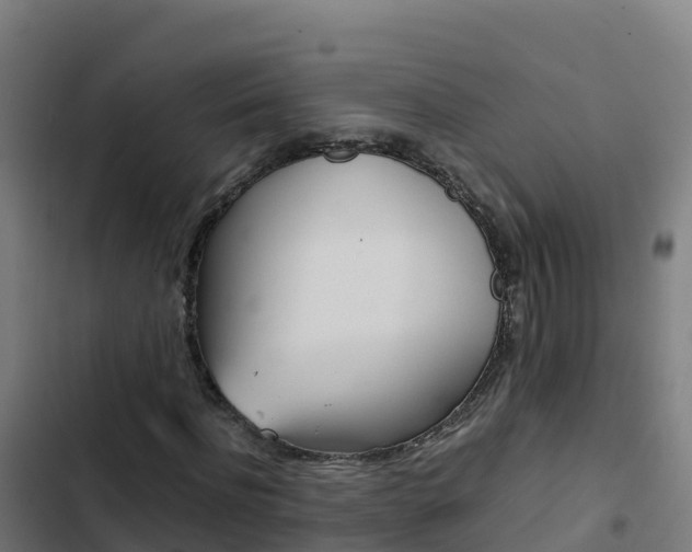 X0000103450916200809121122