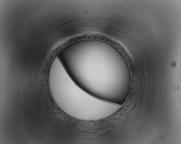 X0000103450919200809121122