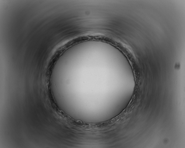 X0000103450920200809121122