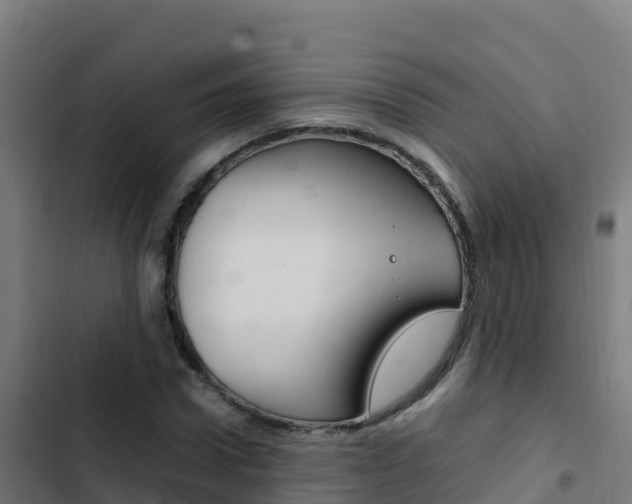 X0000103450922200809121122