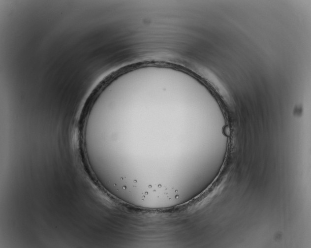 X0000103450924200809121122