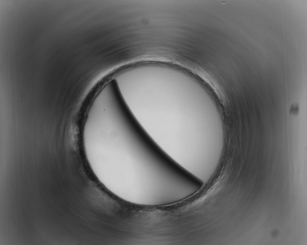 X0000103450926200809121122