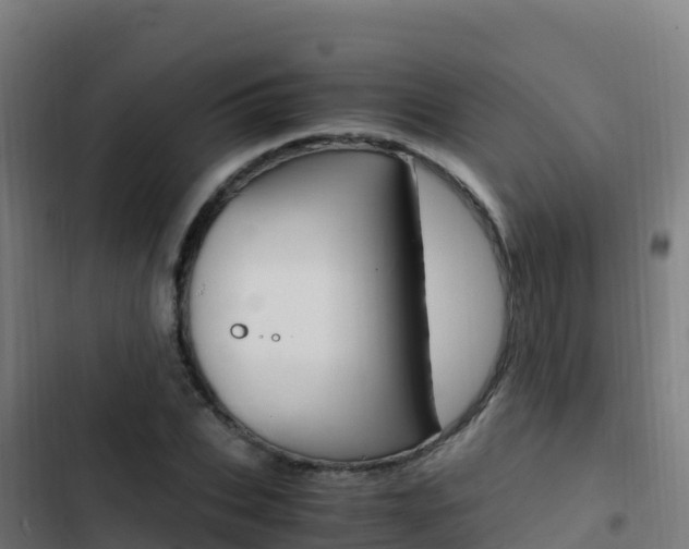 X0000103450927200809121122