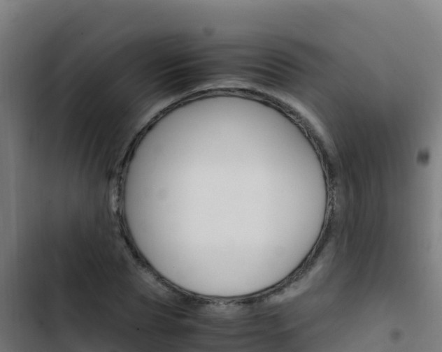 X0000103450929200809121122