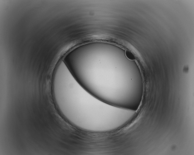 X0000103450930200809121122