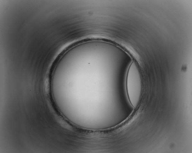 X0000103450934200809121122