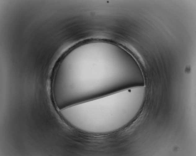 X0000103450935200809121122