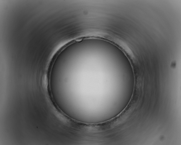 X0000103450936200809121122