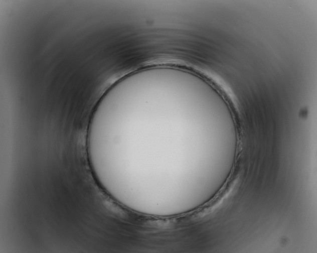 X0000103450937200809121122