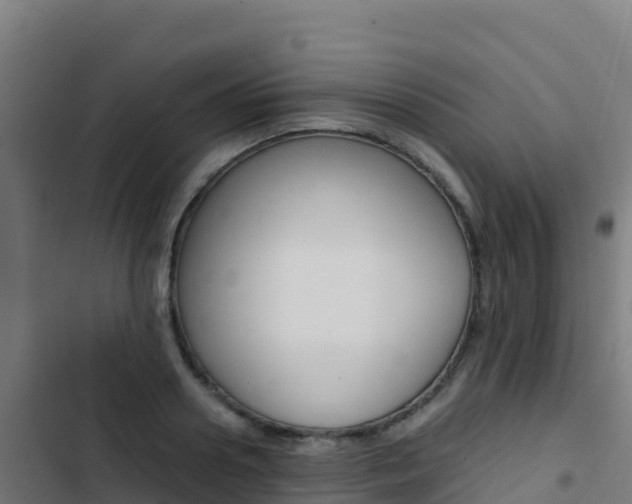 X0000103450938200809121122