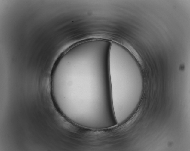 X0000103450939200809121122