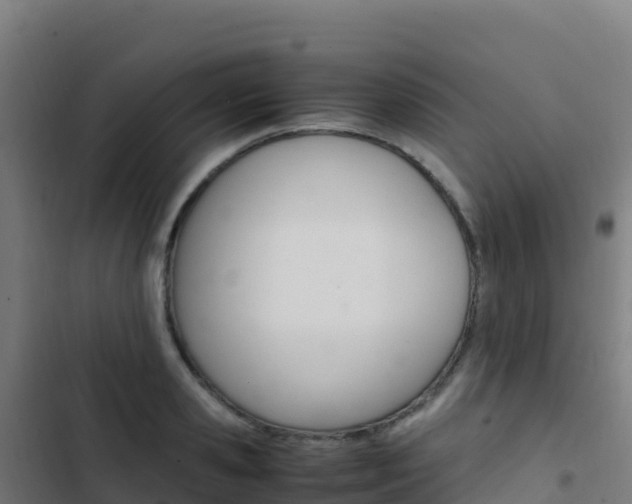 X0000103450941200809121122