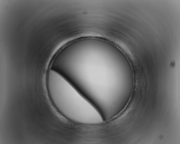 X0000103450942200809121122