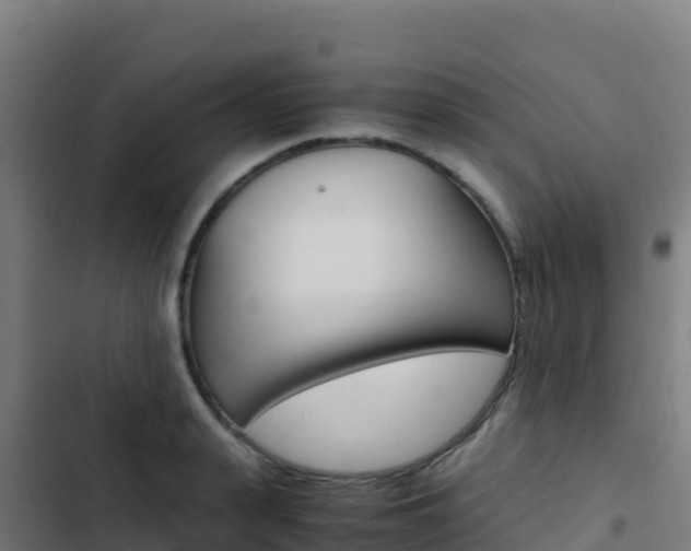 X0000103450943200809121122